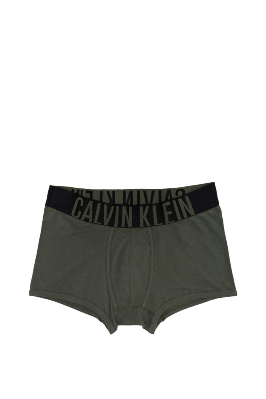 Calvin Klein Underwear Bottoms Erkek Boxer Green
