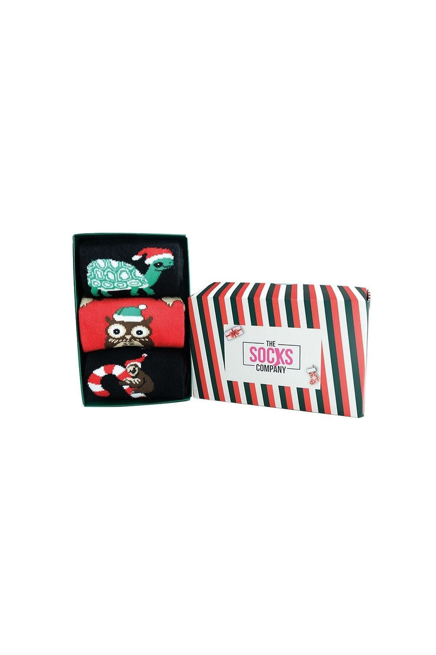 The Socks 3'lü Yılbaşı Desenli Kutulu Çorap Seti Renkli