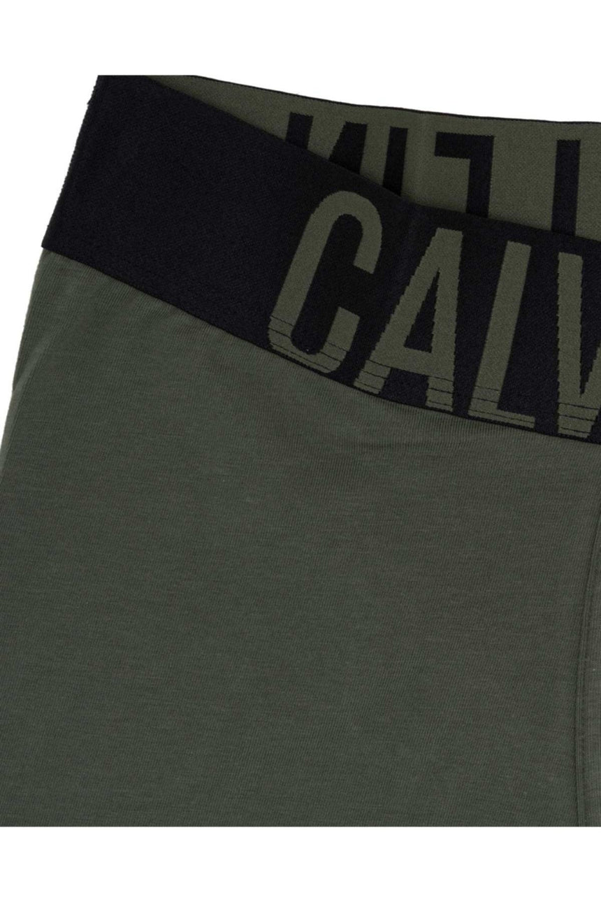 Calvin Klein Underwear Bottoms Erkek Boxer Green