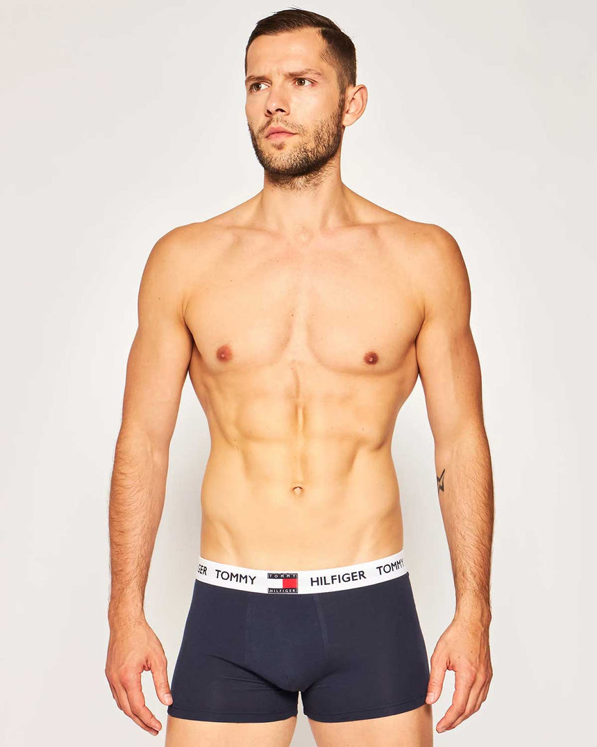 Tommy Hilfiger Underwear Bottoms Erkek Boxer Navy Blazer