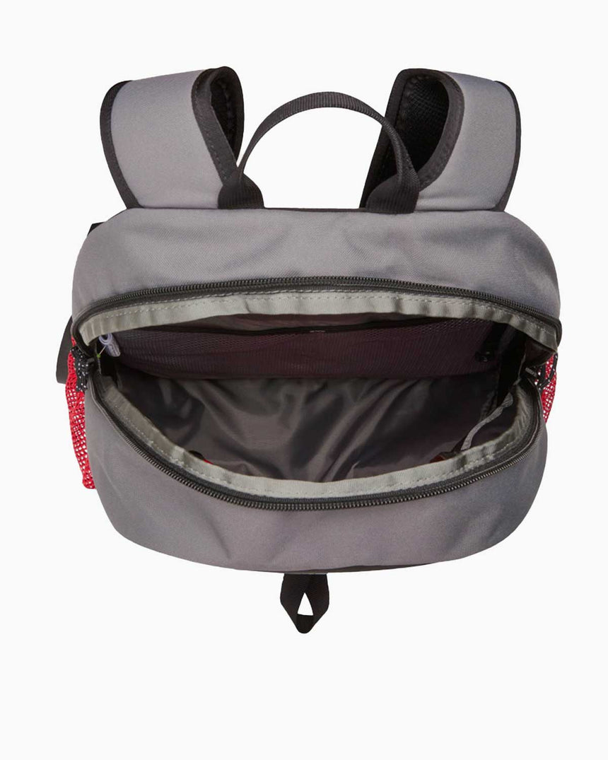 The North Face Daypack Sırt Çantası Smoked Pearl/Tnf Red