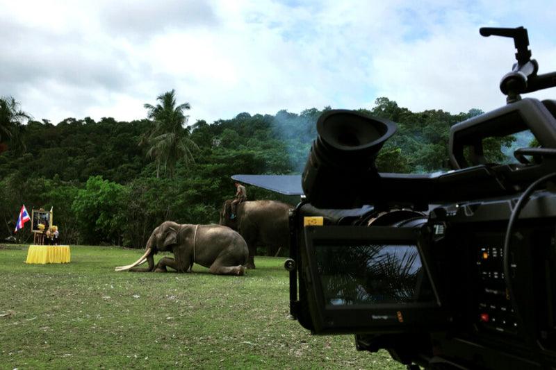 Herkesin Kesinlikle İzlemesi Gereken 10 Belgesel - ECANTA