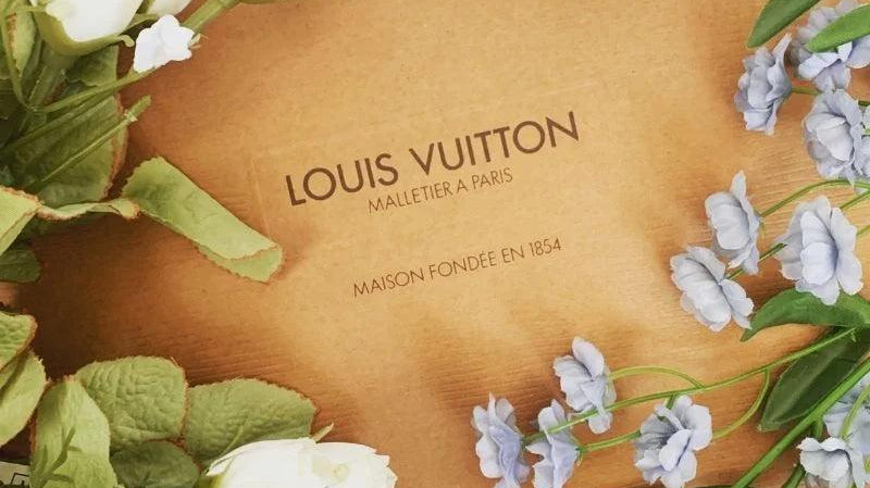 Louis Vuitton Kadın Çantaları Özellikleri, Tasarım Çizgileri - ECANTA
