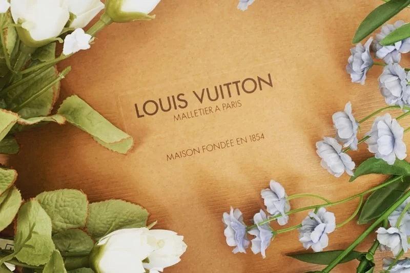 Louis Vuitton Kadın Çantaları Özellikleri, Tasarım Çizgileri - ECANTA