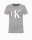 Calvin Klein Shrunken Tee True Mid Grey Heather