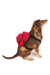Eastpak Dog Pak'r Sırt Çantası Sailor Red