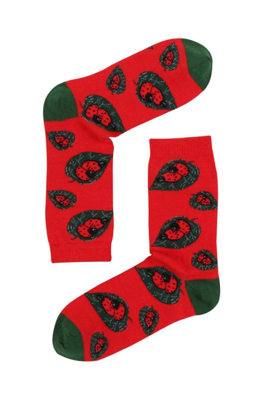 The Socks Company Love Bugs Çok Renkli Çorap Renkli