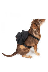 Eastpak Dog Pak'r Sırt Çantası Black