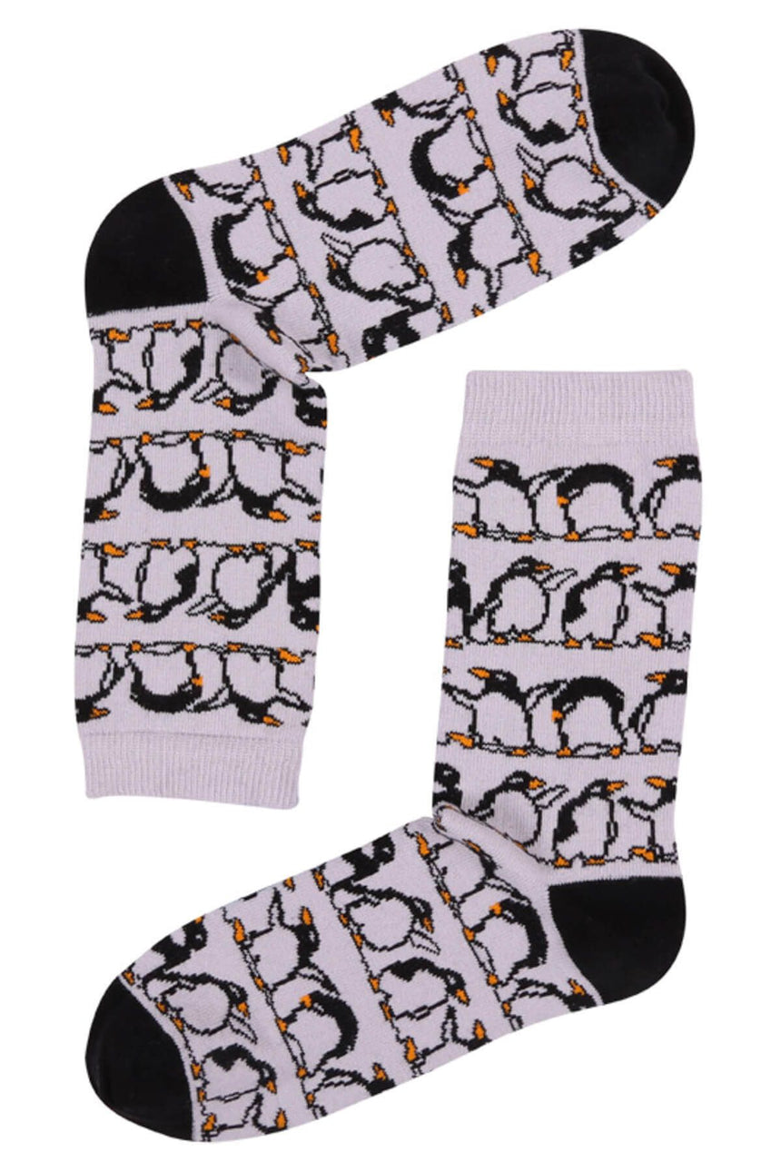 The Socks Company Flightless Penguins Çorap Renkli
