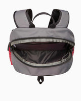 The North Face Daypack Sırt Çantası Smoked Pearl/Tnf Red