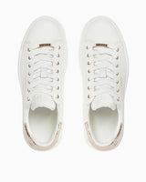 Guess Cupsole Low Sneaker Whigo
